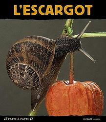 L'escargot: paisible dormeur