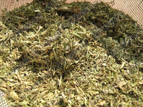 Extraction sucre stevia