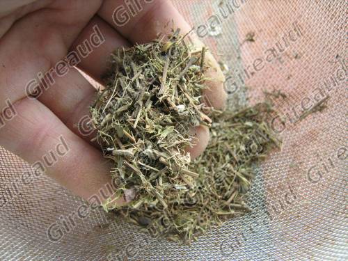Extraction du sucre