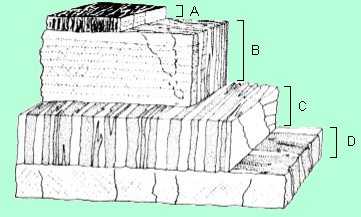 shell layers